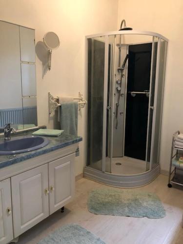 a bathroom with a shower and a sink and a showerspective at LA FERME DU PAVILLON in Sainte-Croix-du-Mont