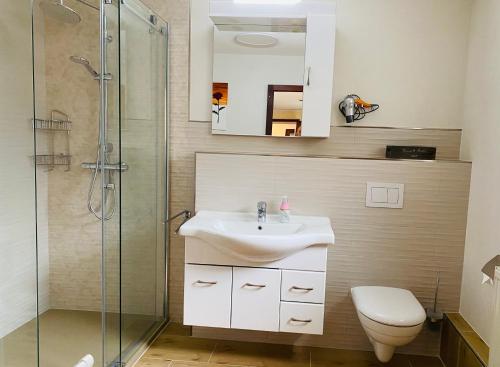 Un baño con lavabo, ducha e inodoro. en Ferienwohnung „Familie Mehle“, en Wernigerode