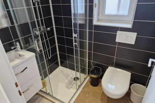 a bathroom with a toilet and a glass shower at Le Pavillon Lorrain in Vittel