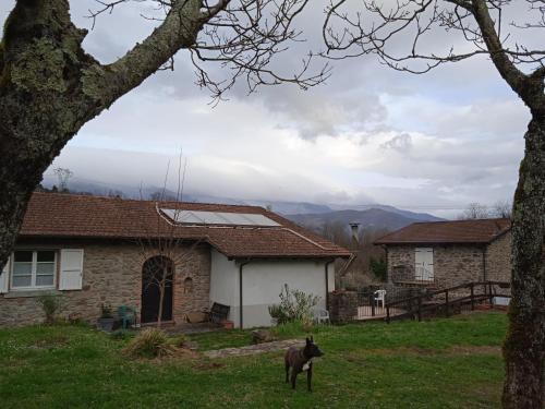 a dog standing in front of a house at Locanda di Campagna in Mulazzo