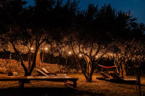 a park with a row of trees at night at Talići Hill - Rustic Villas in Sutomore