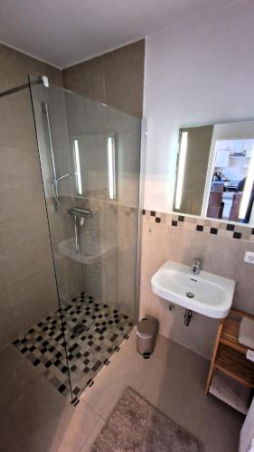 a bathroom with a glass shower and a sink at Schöne Einliegerwohnung im Fachwerkhaus in Meinersen