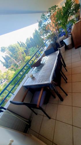 Photo de la galerie de l'établissement BEAU T1 CANNES PISCINE TENNIS, à Cannes