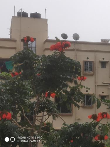a tree with red flowers in front of a building at Gouri Bhawan in Kolkata