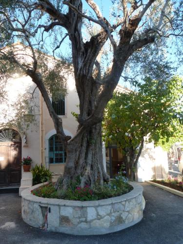 La Bastide de l'Oliveraie photo 66