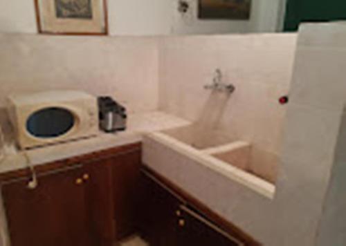 a small kitchen with a sink and a microwave at Варвара- Ятрус in Varvara
