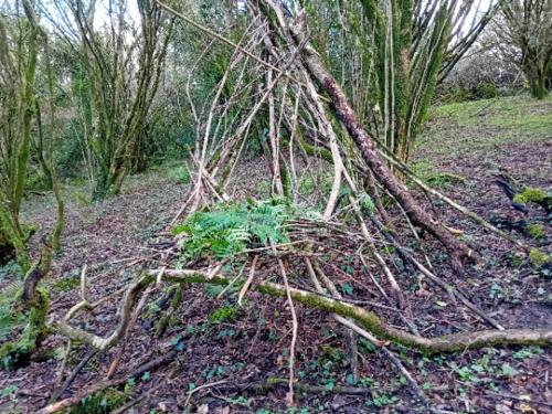 a bunch of tree roots on the ground at Glamping Pod Thady Killynick County Fermanagh in Enniskillen