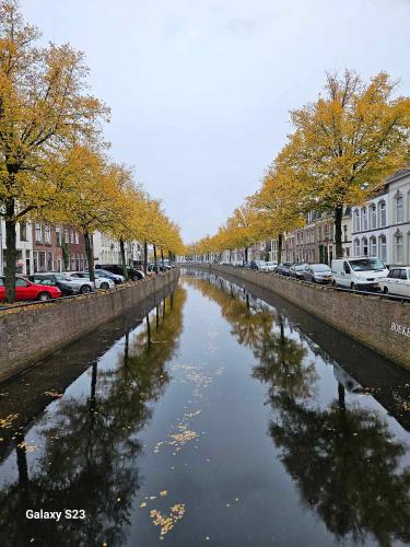a river with cars parked on the side of a street at De Stadsboerderij in Kampen