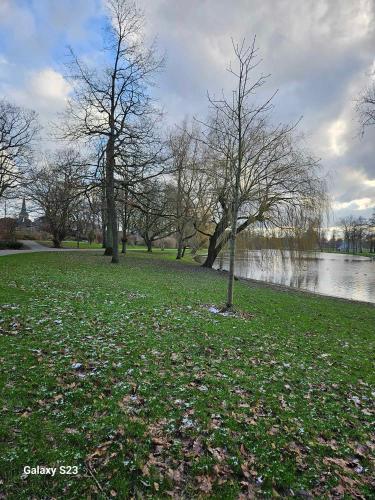 two trees in a field next to a body of water at De Stadsboerderij in Kampen