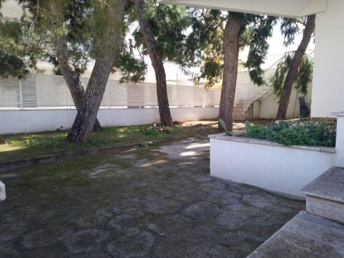 Κήπος έξω από το AFRODITE