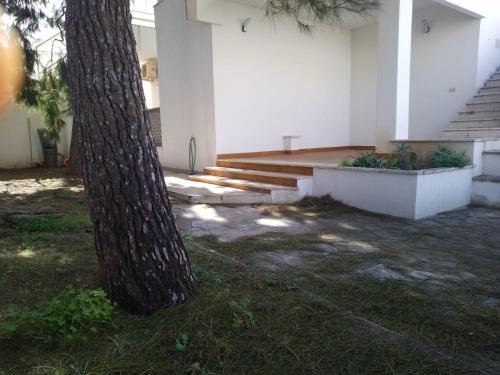 Κήπος έξω από το AFRODITE