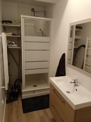une salle de bain avec une douche, un lavabo et un miroir dans l'établissement Appartement T2 privé proche gare, à Marseille