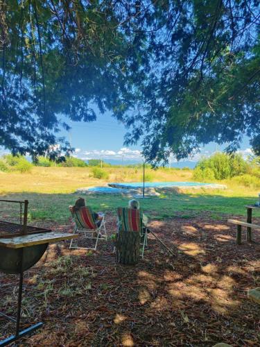 2 Stühle und ein Picknicktisch unter einem Baum in der Unterkunft Cabaña en campo in Parral