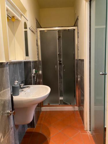 a bathroom with a sink and a shower at L'orologio matto in Marina di Carrara