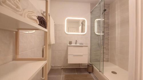 a bathroom with a shower and a sink at Appartement confortable et calme à Tours centre in Tours