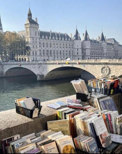 Superbe T3 Terrasse Coeur de Paris historique