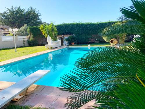 una piscina en un patio con una palmera en Villa Empereur, Piscine, Sanary Bandol, en Sanary-sur-Mer