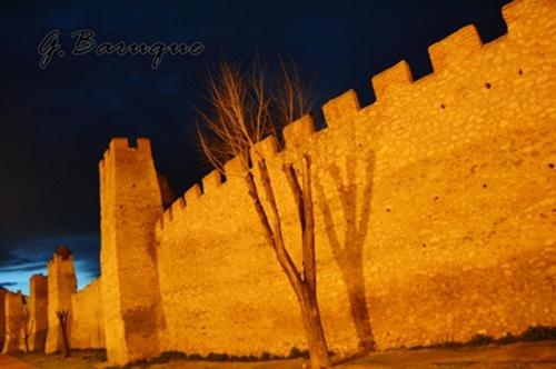 Gambar di galeri bagi La Gala di Olmedo
