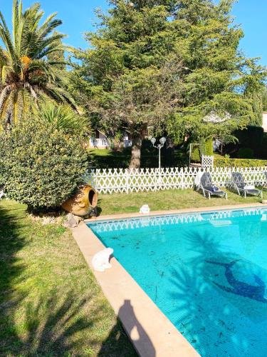 une piscine dans une cour avec un palmier dans l'établissement Villa au calme à Sanary, climatisée, avec piscine, à Sanary-sur-Mer