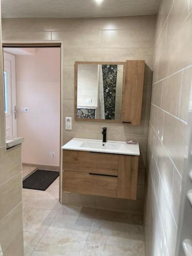 a bathroom with a sink and a mirror at Le gîte du Chat Sauvage in Le Clerjus