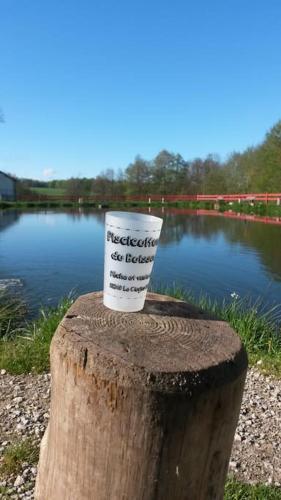 a cup sitting on top of a tree stump near a lake at Le gîte du Chat Sauvage in Le Clerjus