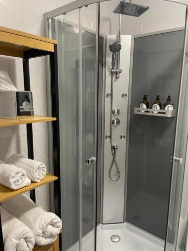 a shower with a glass door in a bathroom at Maison du Verger in Le Vigeant