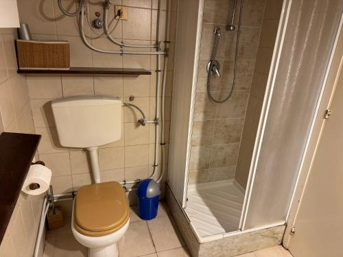 a bathroom with a toilet and a shower at Villa Rama in Aci Castello