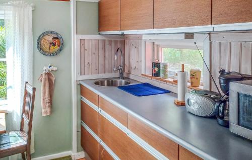 um balcão de cozinha com um lavatório e um micro-ondas em Stunning Home In Kisa With 2 Bedrooms em Kisa