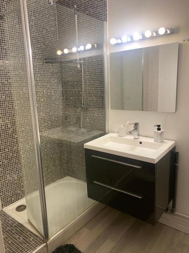 La salle de bains est pourvue d'un lavabo et d'une douche. dans l'établissement Paronamique villejean - proche métro, à Rennes