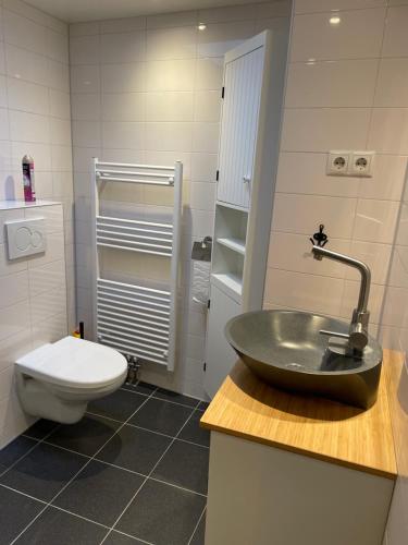 een badkamer met een wastafel en een toilet bij Vakantiewoning Ooievaar in Harlingen