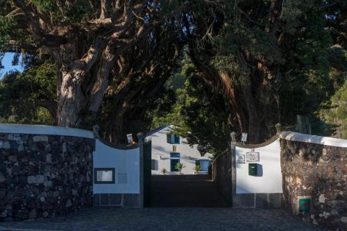 una puerta a una casa bajo un gran árbol en WelcomeBuddy - Casa do Monte - Garden & Sea sight, en Caloura