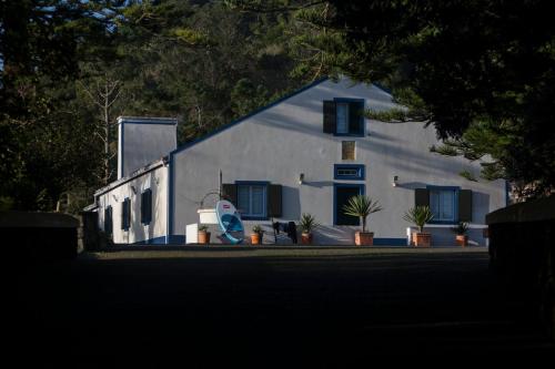 a white house with potted plants in front of it at Casa do Monte – Sea sight in Lagoa