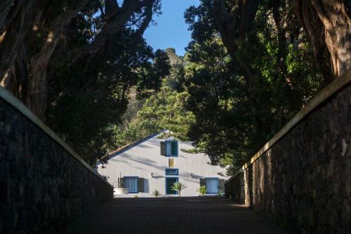 una carretera que conduce a una casa blanca con árboles en WelcomeBuddy - Casa do Monte - Garden & Sea sight, en Caloura
