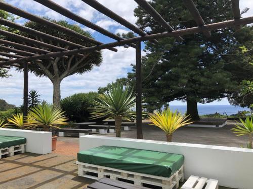 a patio with benches and palm trees and the ocean at Casa do Monte – Sea sight in Lagoa