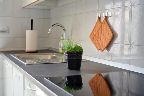 a kitchen counter with a sink and a potted plant at La Casa dell'Artista in Trieste