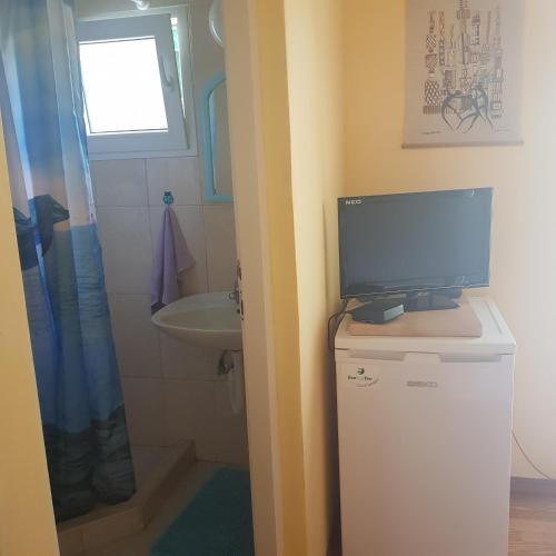 a bathroom with a television on top of a refrigerator at Apartments Nenadić in Utjeha