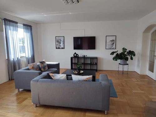 a living room with two couches and a flat screen tv at Maisonette Wohnung 110qm in Linz. in Linz