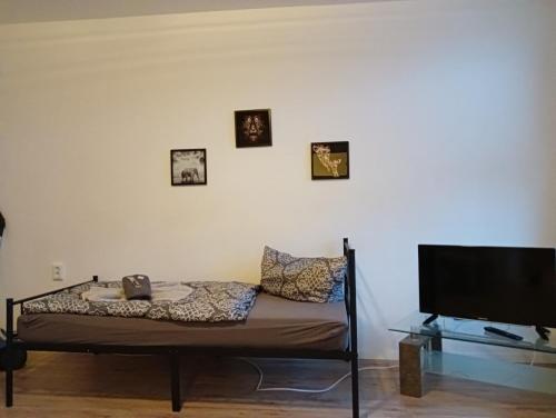 een kamer met een bed en een flatscreen-tv bij Stella's Monteurswohnungen in Crimmitschau