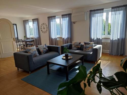 a living room with two couches and a coffee table at Maisonette Wohnung 110qm in Linz. in Linz