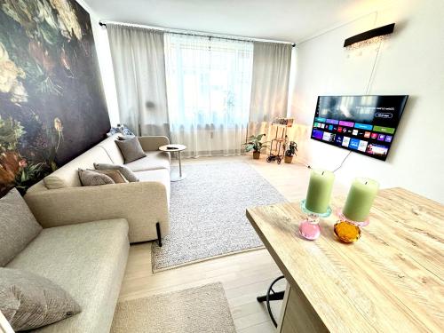 a living room with a couch and a tv at Luxurious large room, city center, canals few steps away in Copenhagen