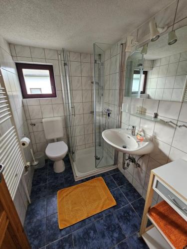 a bathroom with a sink and a toilet and a shower at Ferienhaus Michaelsdorf in Fuhlendorf