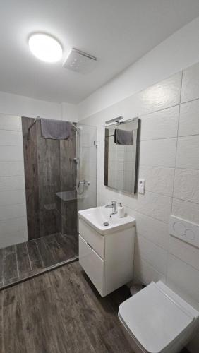 y baño con aseo, lavabo y ducha. en Penzion Vila Winter, en Koryčany