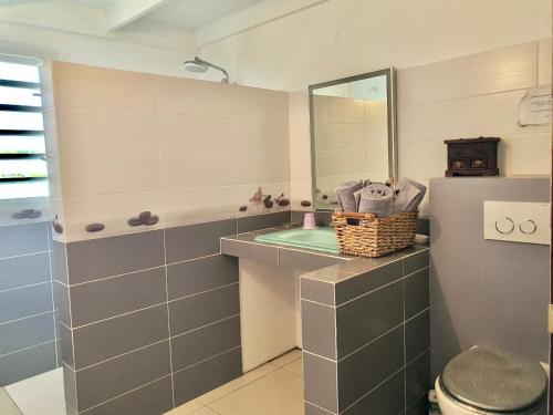 W łazience znajduje się umywalka, toaleta i lustro. w obiekcie Villa Horizon à Marie-Galante w mieście Grand-Bourg