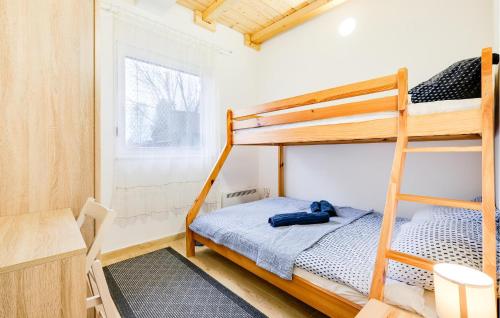 a bedroom with two bunk beds in a room at 3 Bedroom Cozy Home In Stari Brod in Stari Brod