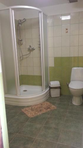a bathroom with a shower and a toilet at Ūdensputni in Tāšu-Padure