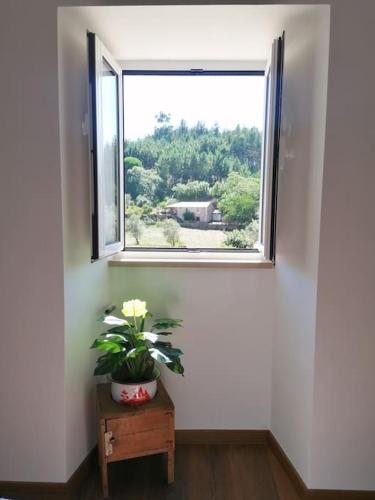 a room with a window and a potted plant on a table at Casa da Bivó in Figueiró dos Vinhos