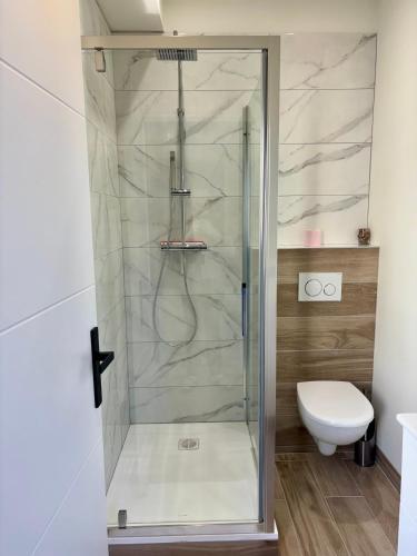 uma cabina de duche na casa de banho com WC em Le Secret de l'Architecte : proche Centre et Gare em Dijon