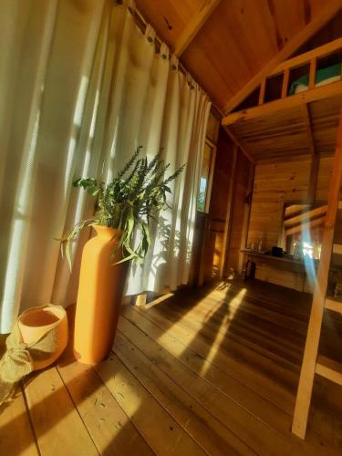 a potted plant sitting on the floor of a room at Glamping El Muelle in Villa de Leyva