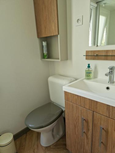 une salle de bain avec toilettes et lavabo dans l'établissement Mobilhome N°222 : 3ch / 2sdb dans camping 4*, à Gastes