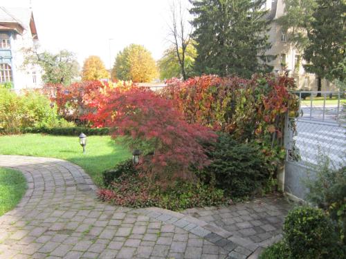 a garden with red bushes and a brick walkway at Guest House Veronika in Kočevje